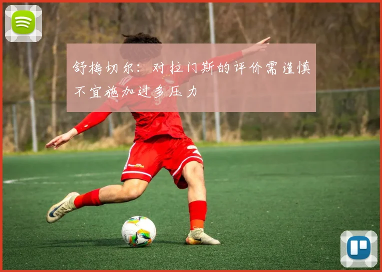 舒梅切尔：对拉门斯的评价需谨慎不宜施加过多压力